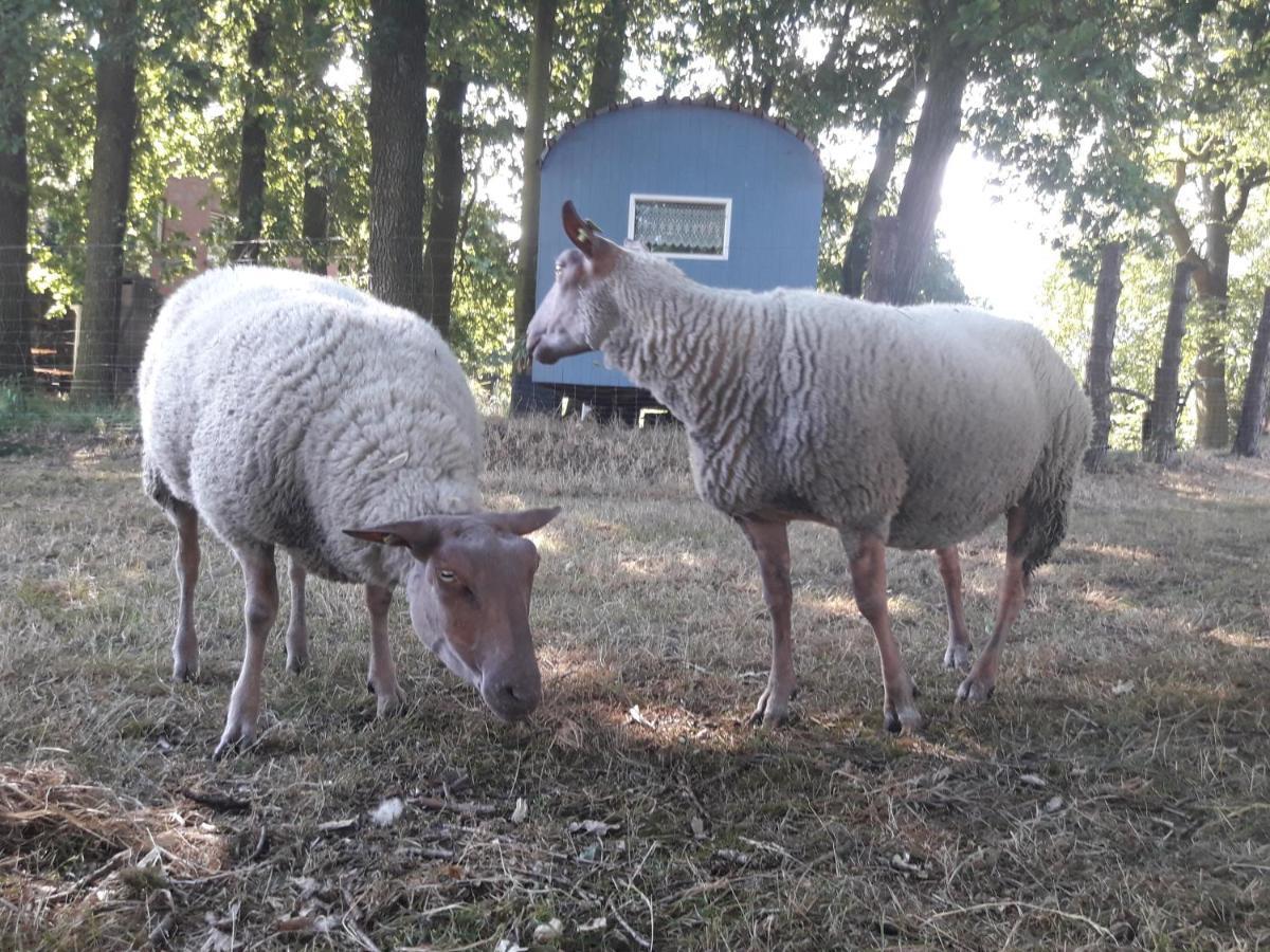 Ferienwohnung 1 Bauernhof Von Eden Surwold Eksteriør billede